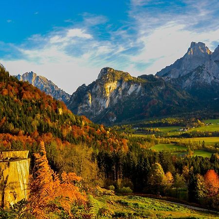 Вілла Haus Rosina Адмонт Екстер'єр фото
