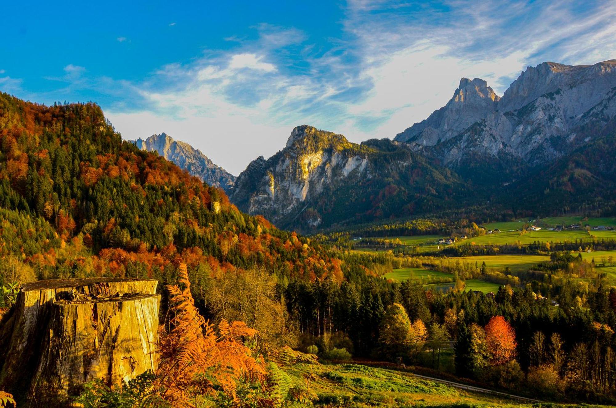 Вілла Haus Rosina Адмонт Екстер'єр фото