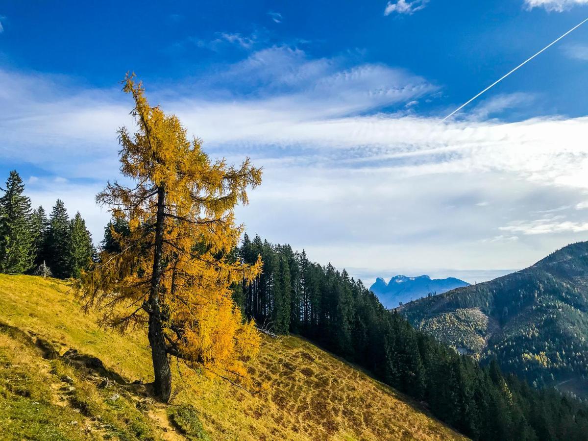 Вілла Haus Rosina Адмонт Екстер'єр фото