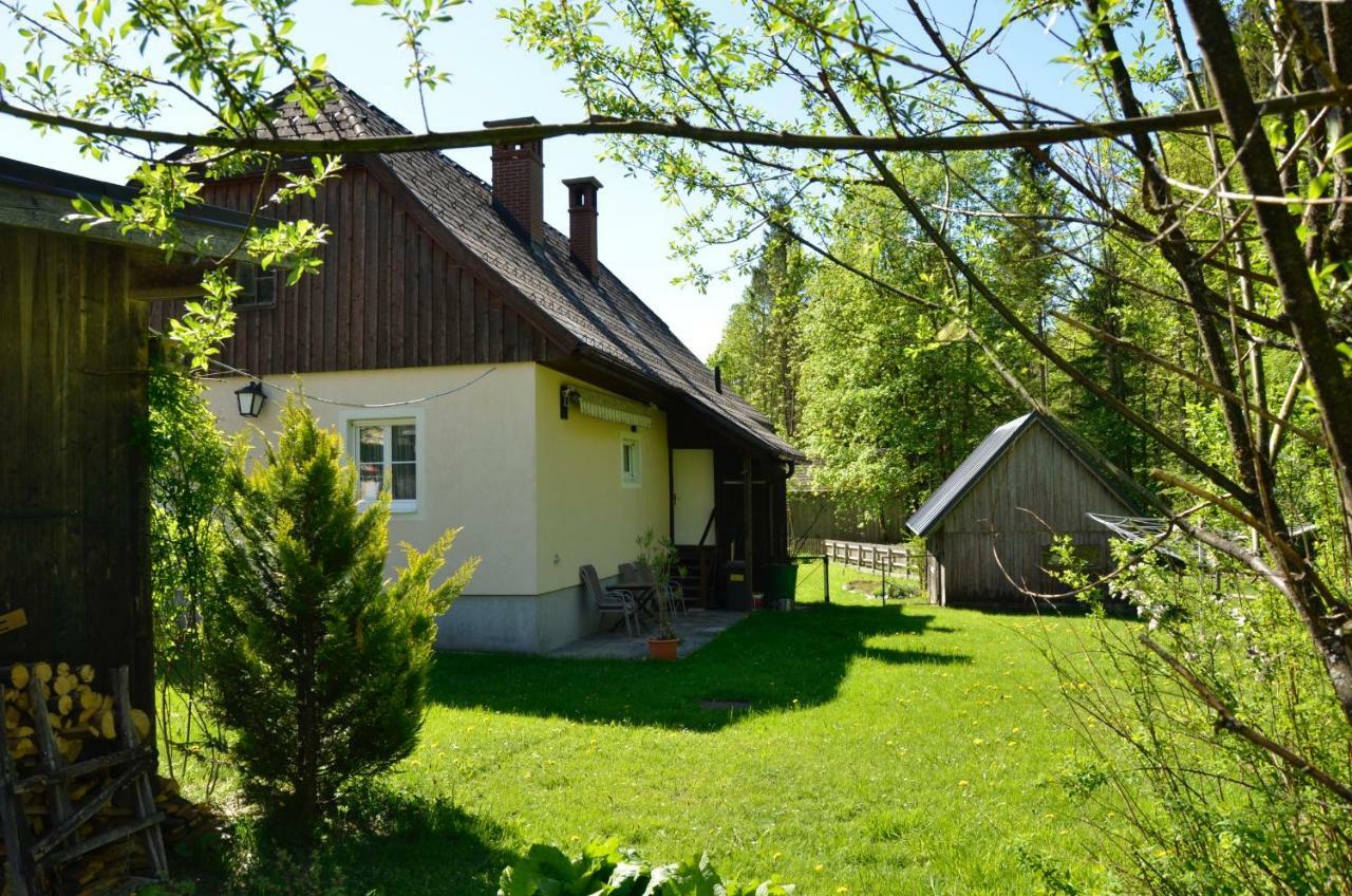 Вілла Haus Rosina Адмонт Екстер'єр фото